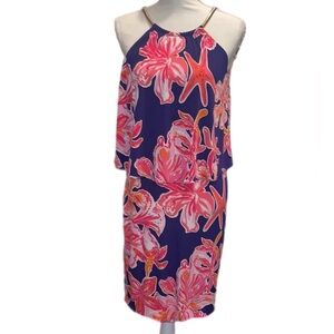 Lilly Pulitzer Lucia dress.